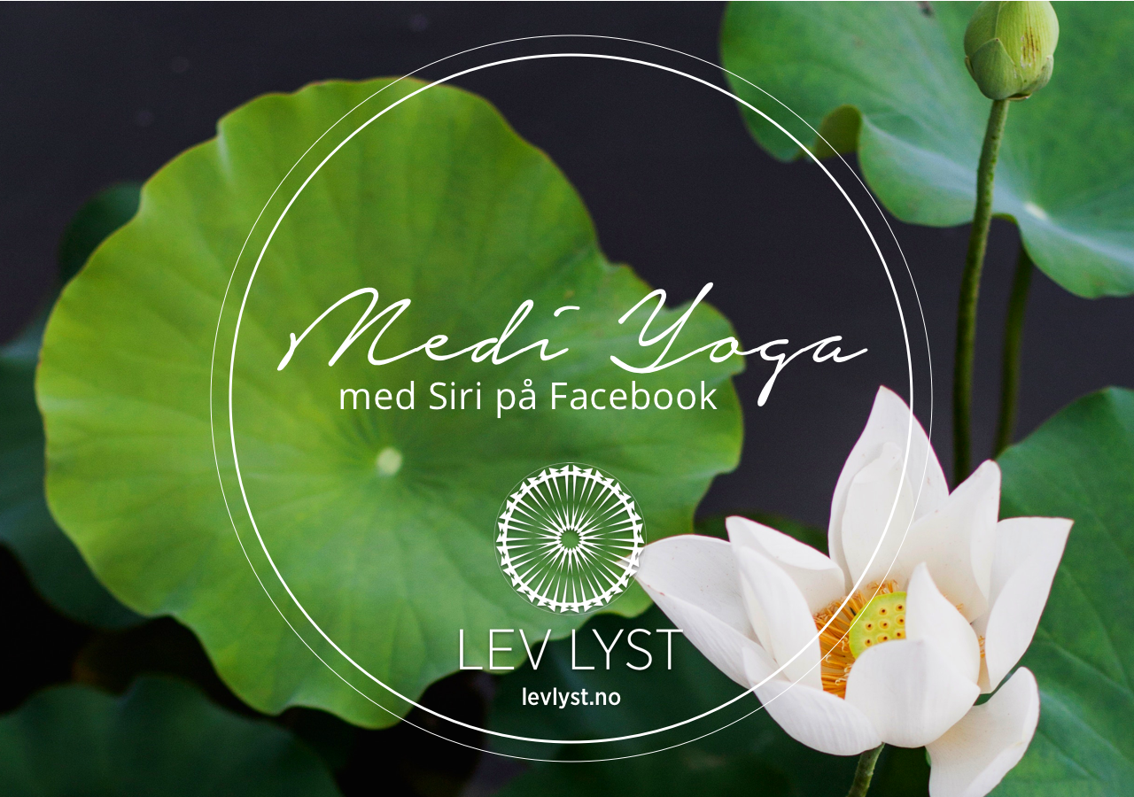 Lev Lyst Wellness